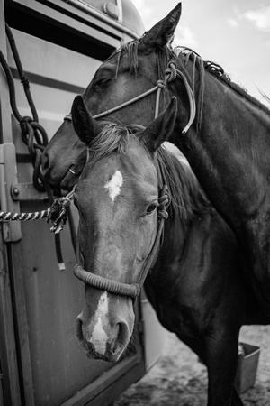 Luke&Lindsay B&W-3